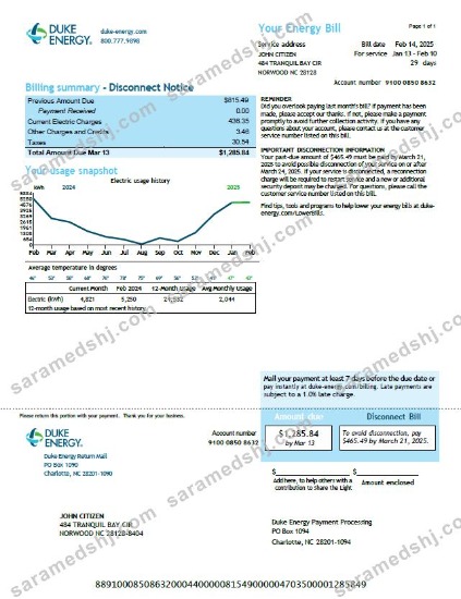 USA Duke Energy utility bill template in Word and PDF formats, version 2